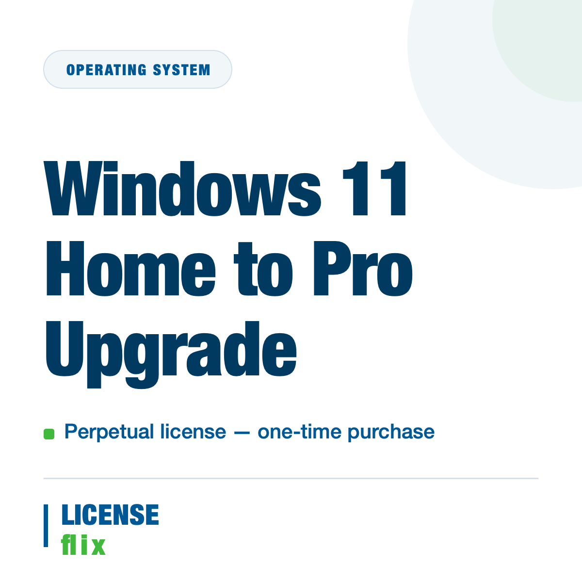Windows 11 Home to Pro Upgrade — LicenseFlix