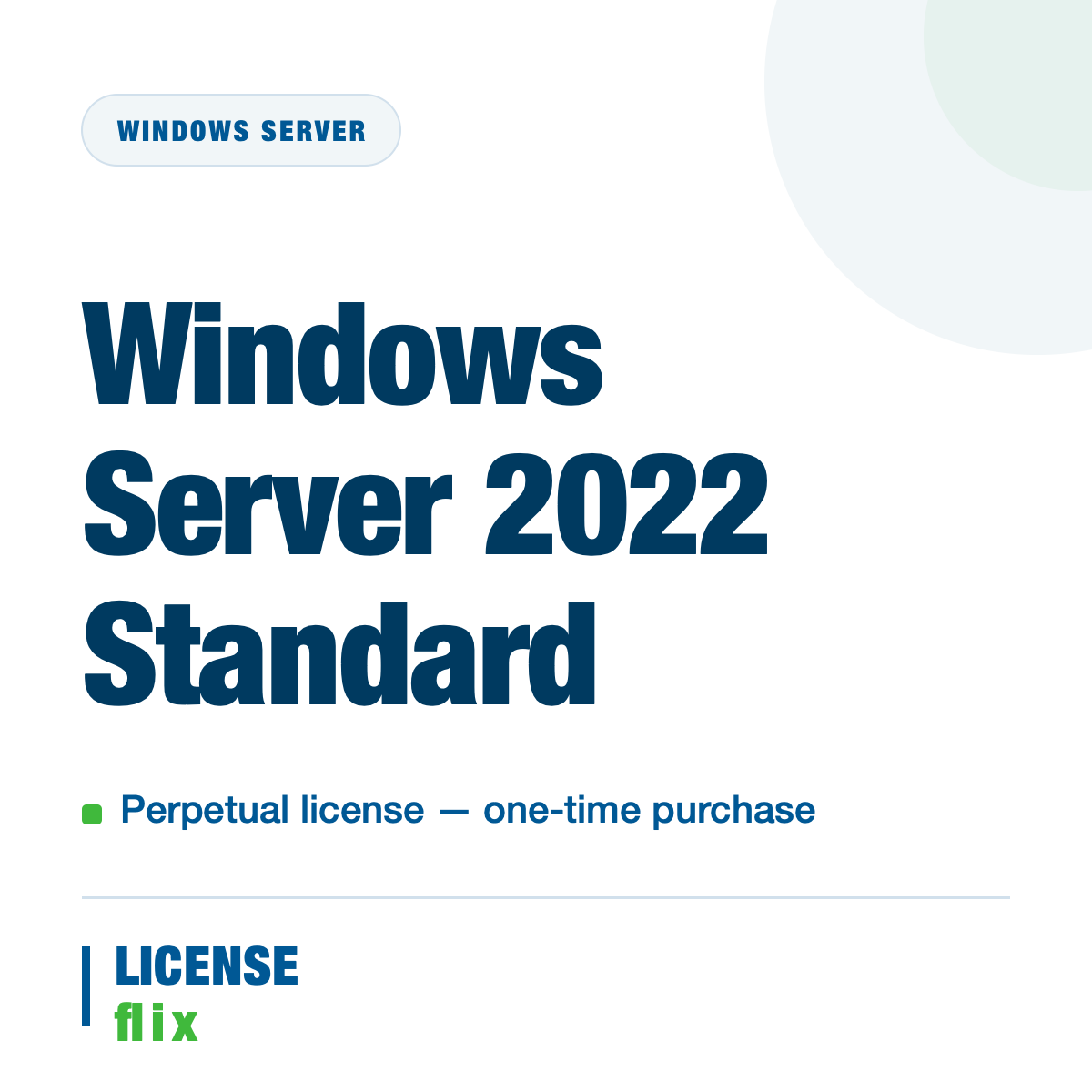 Windows Server 2022 Standard — LicenseFlix
